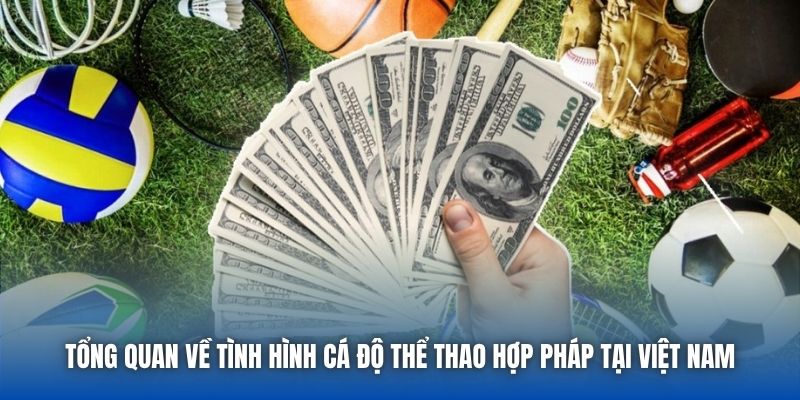 Tổng quan về tình hình cá độ thể thao hợp pháp tại Việt Nam